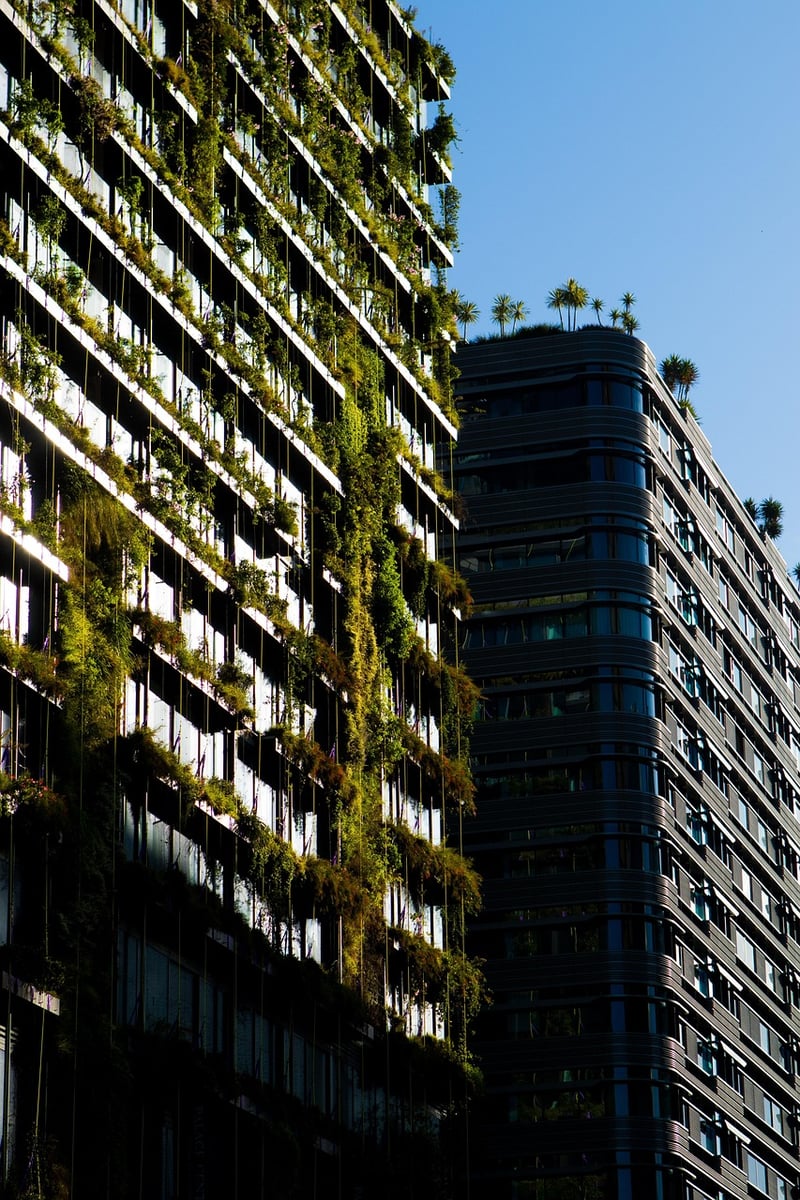 After Vertical Garden